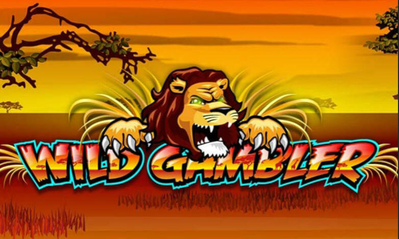 wild gambler slot game